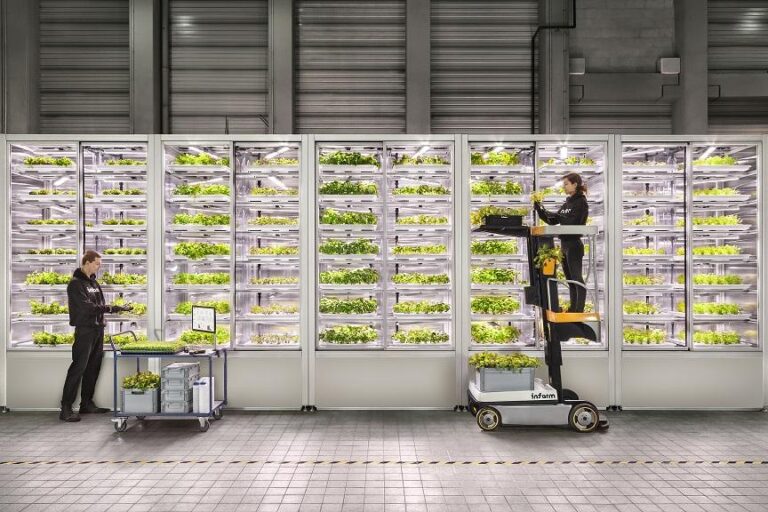 INFARM Inhub Farming 1 © diephotodesigner.de High Res 768x512