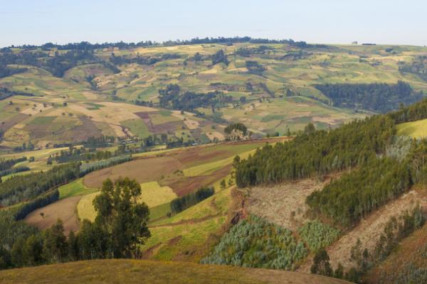 Ethiopia farmland