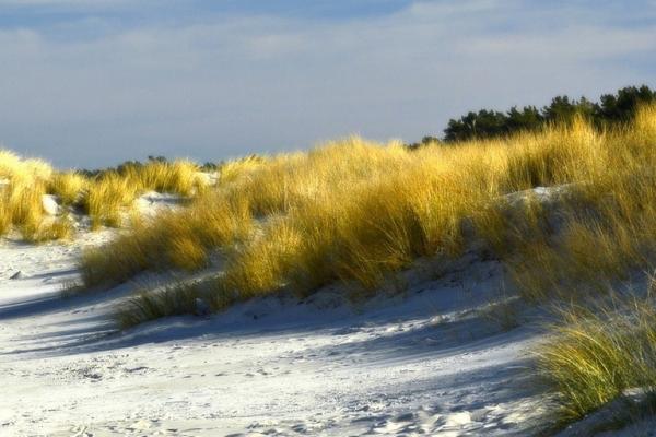 dunes g9f0223d64 1920