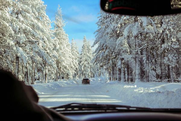 tree snow winter car frost driving