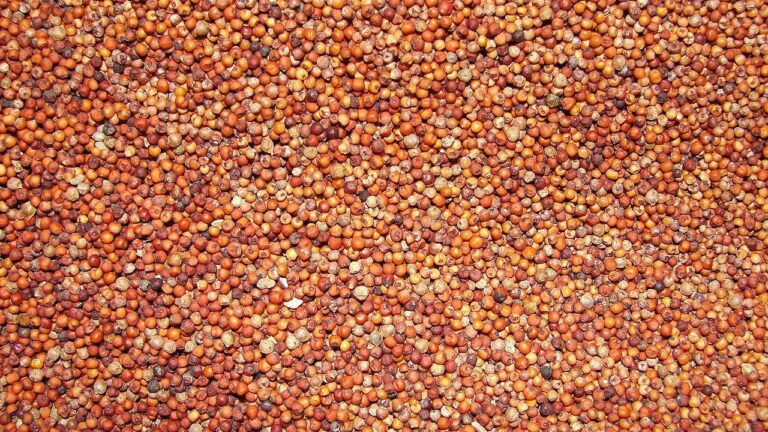 Millet1 768x432