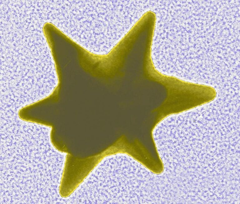Nanostar 11 768x654