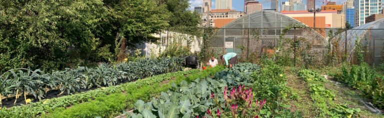 Urban20farms2021 768x236