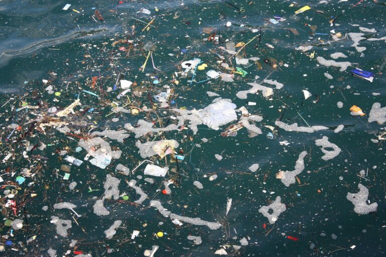 sea garbage1 768x512