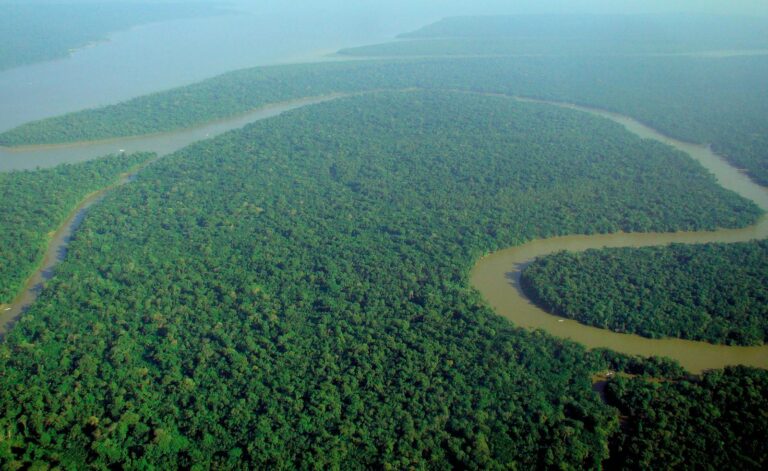Aerial view of the Amazon Rainforest1 768x471