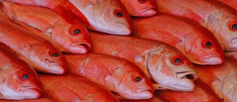 Maine Avenue Fish Market crop1 768x331