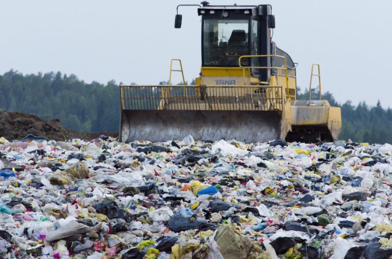 landfill 879437 19201 768x508