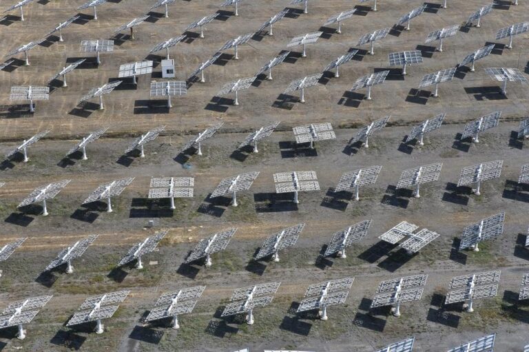 solar20panel20field1 768x511