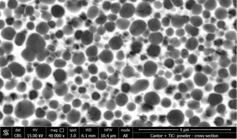 Microstructure of Titanium Carbides in a FeCrAl matrix
