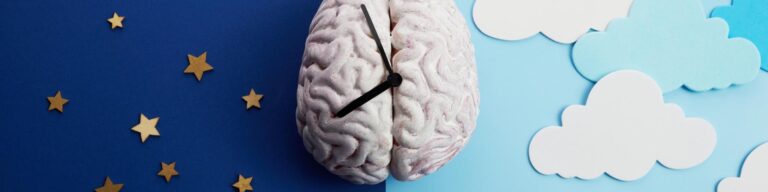 shutterstock 20977415891 768x192
