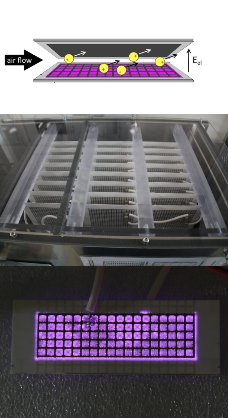 tmp8h3xl7zw 768x1408