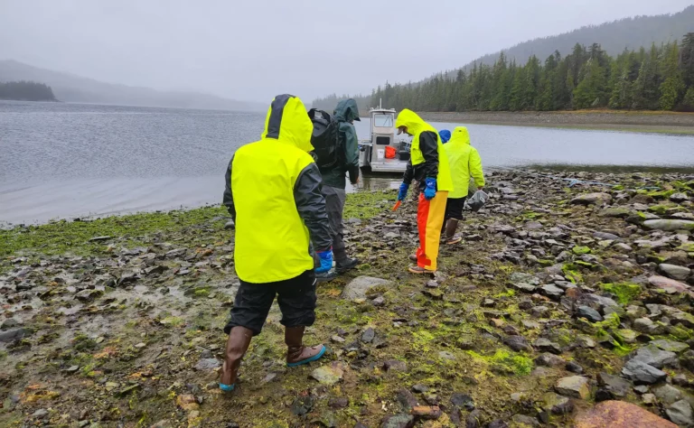 20250916 phyto finish could seaweed be mined for critical minerals shore 768x474