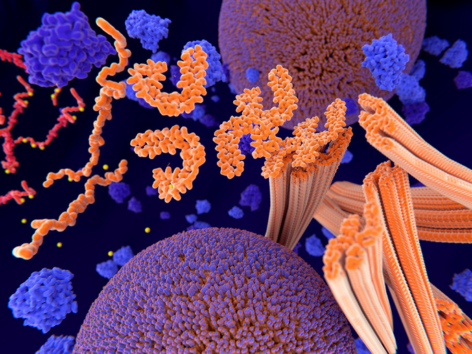 tmpp164mpby 1