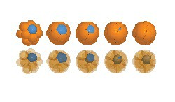 tmpstkqdzg7 1